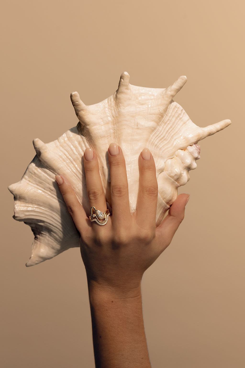 Hand holding a large shell against a beige background